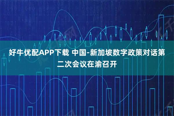 好牛优配APP下载 中国-新加坡数字政策对话第二次会议在渝召开